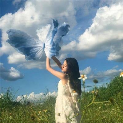 精灵幻想记第二季